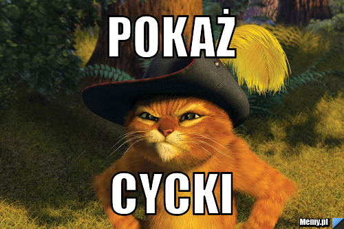 Pokaż cycki