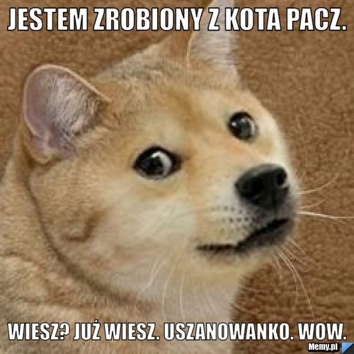 Jestem zrobiony z kota pacz. wiesz? już wiesz. uszanowanko. wow.