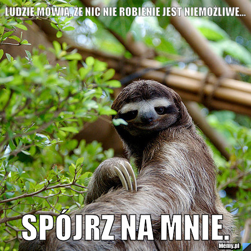 Ludzie mówią, że nic nie robienie jest niemożliwe... spójrz na mnie.