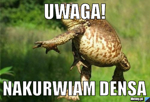 NAKURWIAM DENSA NAKURWIAM DENSA