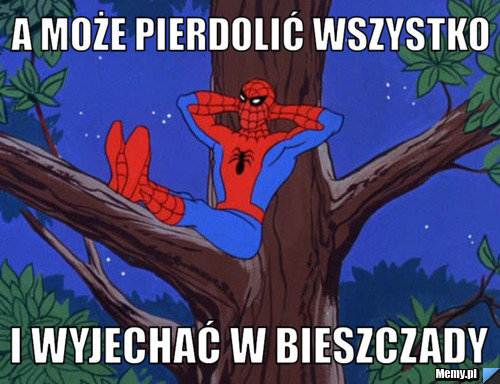 A może pierdolić wszystko I wyjechać w Bieszczady 