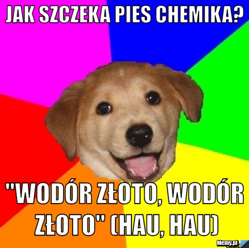 Jak szczeka pies chemika? "Wodór złoto, wodór złoto" (HAu, HAu)