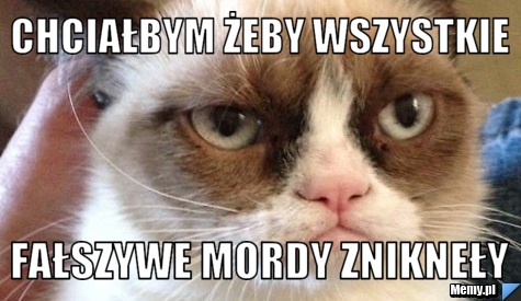 Chciałbym Żeby wszystkie Fałszywe Mordy Znikneły 