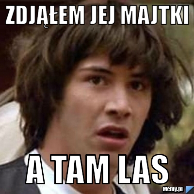 ZDJĄŁEM JEJ MAJTKI A TAM LAS