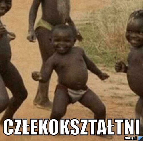  człekokształtni