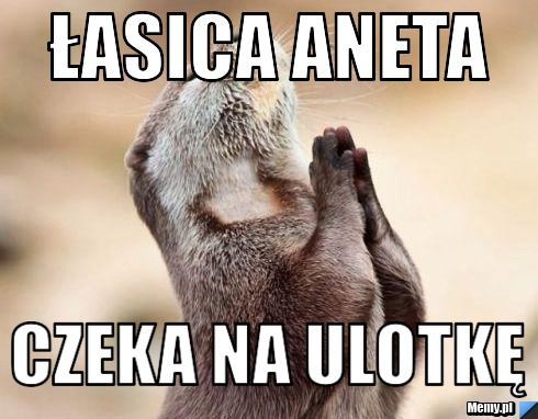 Łasica Aneta Czeka na ulotkę