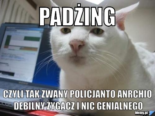 Padżing czyli tak zwany policjanto anrchio debilny żygacz i nic genialnego