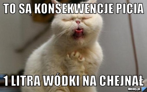 To są konsekwencje picia  1 litra wódki na chejnał