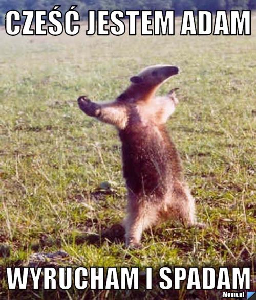 CZEŚĆ JESTEM ADAM WYRUCHAM I SPADAM