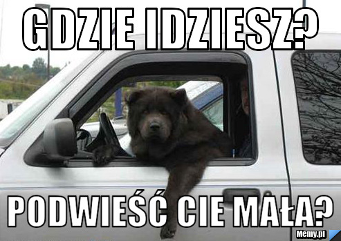 Gdzie idziesz? Podwieść cie mała?
