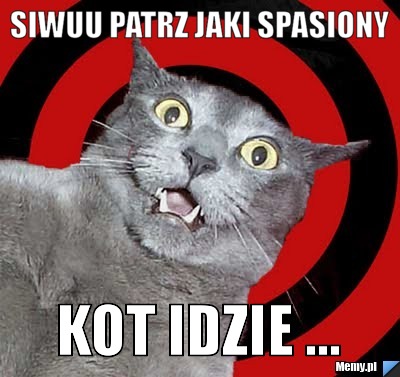 SIWUU PATRZ JAKI SPASIONY KOT IDZIE ...
