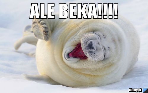                   ALE BEKA!!!! 