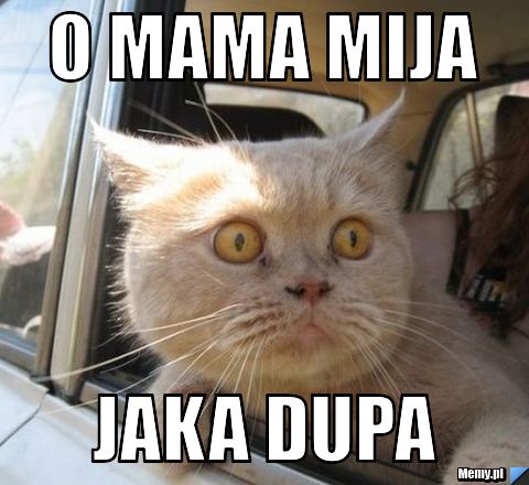 O mama mija  jaka dupa 
