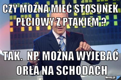 Czy można mieć stosunek płciowy z ptakiem ? Tak.  Np. można wyjebać orła na schodach