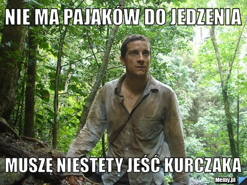 Nie ma pająków do jedzenia muszę niestety jeść kurczaka