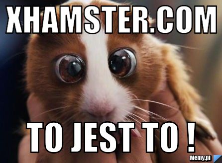 Xhamster.com To jest to !