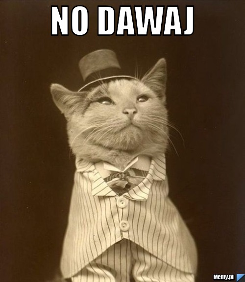 No dawaj 