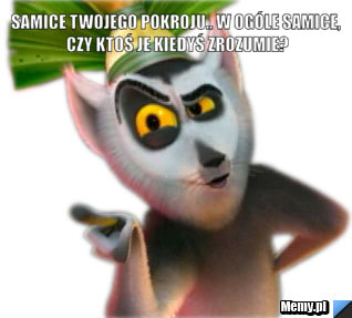 Samice twojego pokroju.. w ogóle samice, czy ktoś je kiedyś zrozumie? 