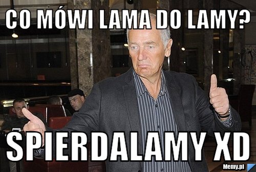 Co mówi lama do lamy? Spierdalamy XD