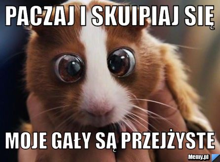 Paczaj i skuipiaj się  moje gały są przejżyste 