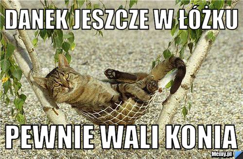 Danek jeszcze w łóżku  pewnie wali konia