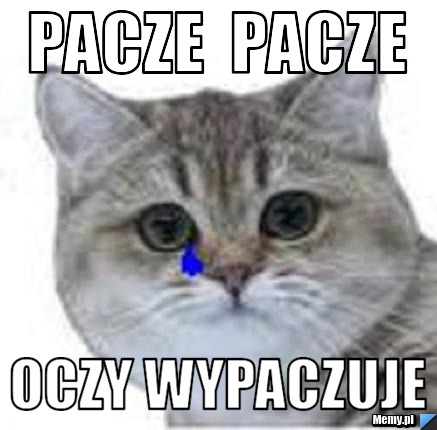 Pacze  pacze oczy wypaczuje