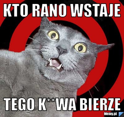 Kto rano wstaje tego k**wa bierze