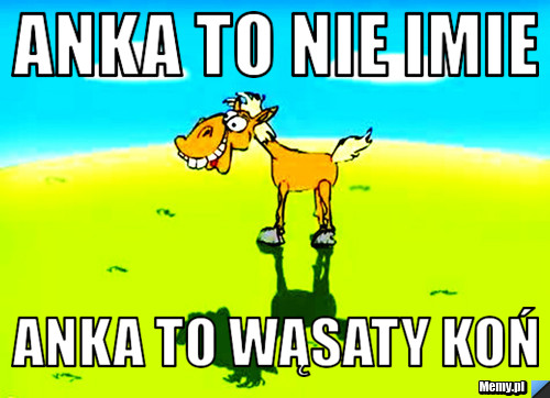 Anka to nie imie  anka to wąsaty koń