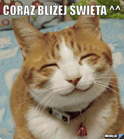 Coraz bliżej święta ^^  