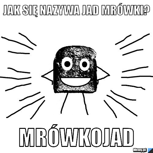 Jak się nazywa jad mrówki? mrówkojad