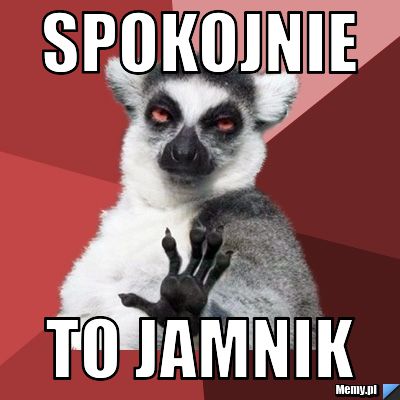 Spokojnie  to jamnik 