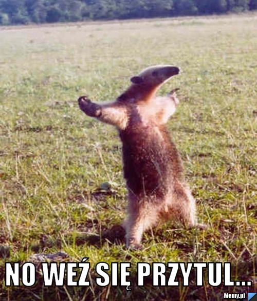 No weź się przytul... - Memy.pl