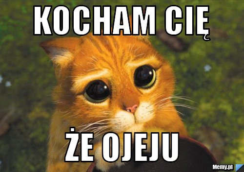Kocham Cię że ojeju