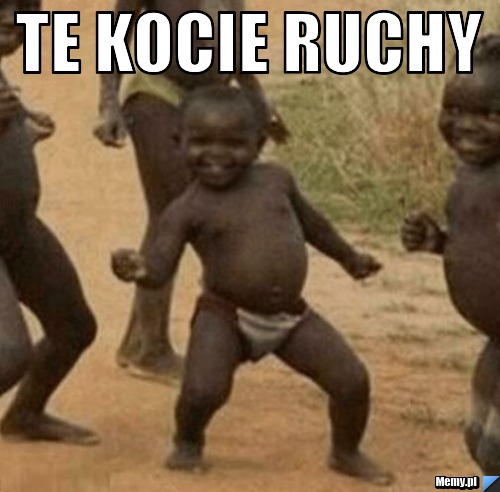 Te kocie ruchy  