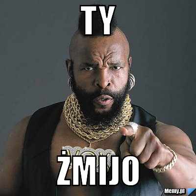 Ty  żmijo