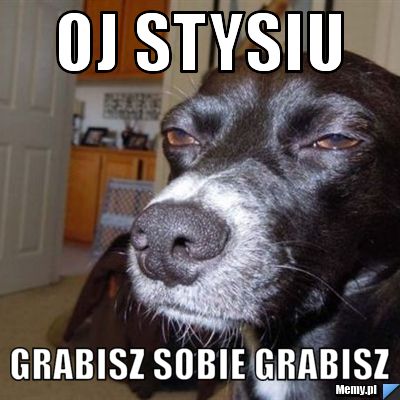 Oj stysiu grabisz sobie grabisz