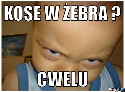 KOSE W ŻEBRA ? CWELU