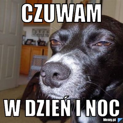 Czuwam w dzień i noc