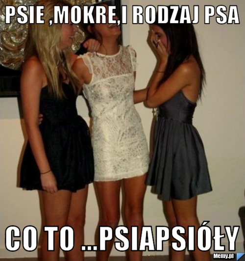 Psie ,mokre,i rodzaj psa Co to ...Psiapsióły