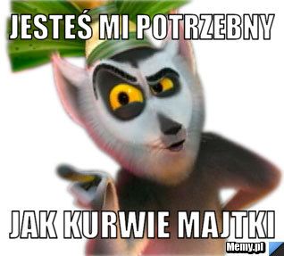 JESTEŚ MI POTRZEBNY JAK KURWIE MAJTKI