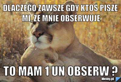 Dlaczego zawsze gdy ktoś pisze mi, że mnie obserwuje to mam 1 un obserw ?