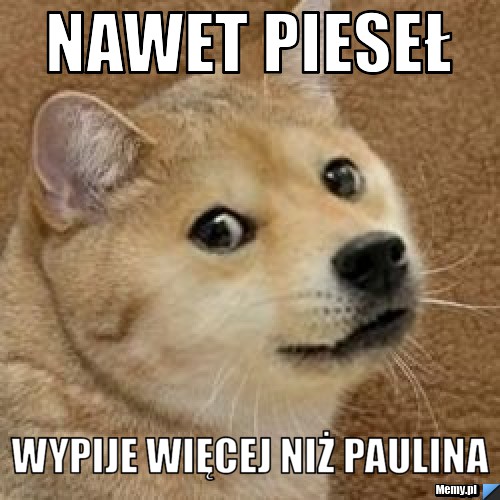 Nawet Pieseł Wypije więcej niż Paulina