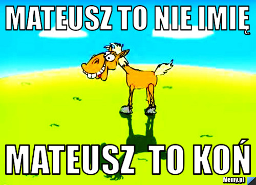 Mateusz to nie imię  mateusz  to koń