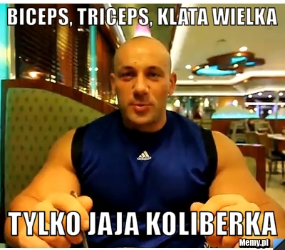 Biceps, triceps, klata wielka tylko jaja koliberka