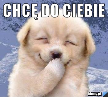 Chcę do ciebie 