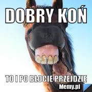 DOBRY KOŃ TO I PO BŁOCIE PRZEJDZIE
