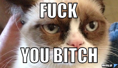 Fuck you bitch