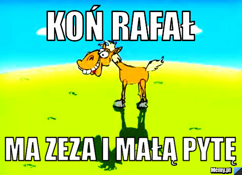 Koń rafał ma zeza i małą pytę