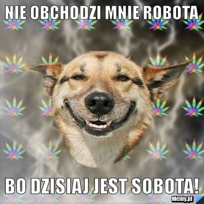 Nie obchodzi mnie robota bo dzisiaj jest sobota!
