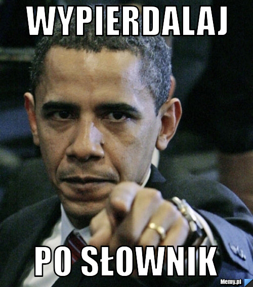 Wypierdalaj po słownik